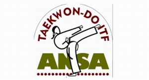 Academia Ansa