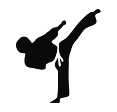 ACADEMIA RAIZ